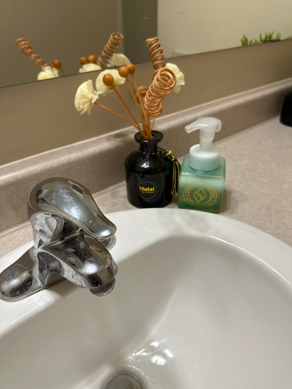 Foaming Hand Soap
